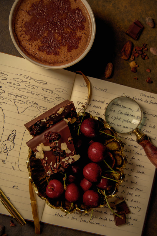 A picture of cherry, coconut, cacao nib bark in a bowl of cherries on top of a journal record about the Sierra Nevada de Santa Marta, Colombia. Beside the bowl is a cup of hot drinking chocolate.