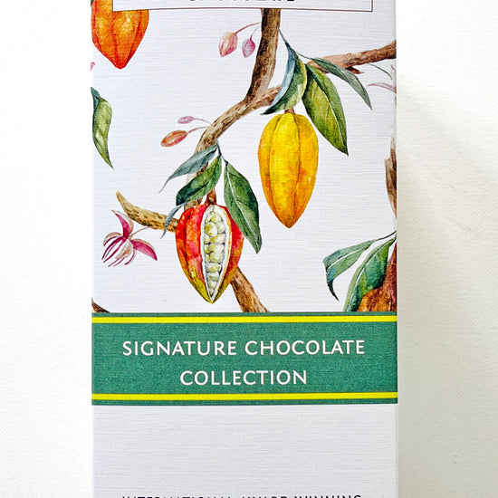 Front view of Castronovo brand signature chocolate collection gift box; colorful illustration of cocoa pods against white background with blue accent stripe