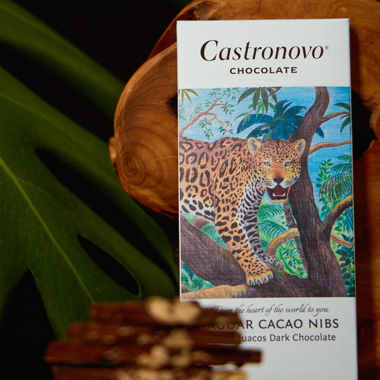 A bar of Castronovo chocolate with a jaguar on the packaging, displayed alongside jaguar cacao nibs on a wooden surface.
